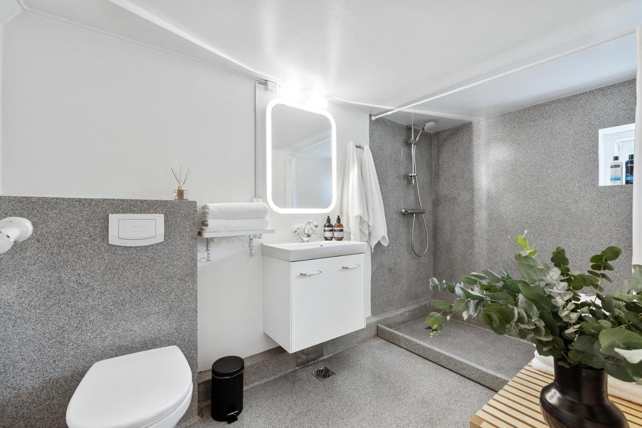 Luxury Villa In Downtown Рейкявик Екстериор снимка